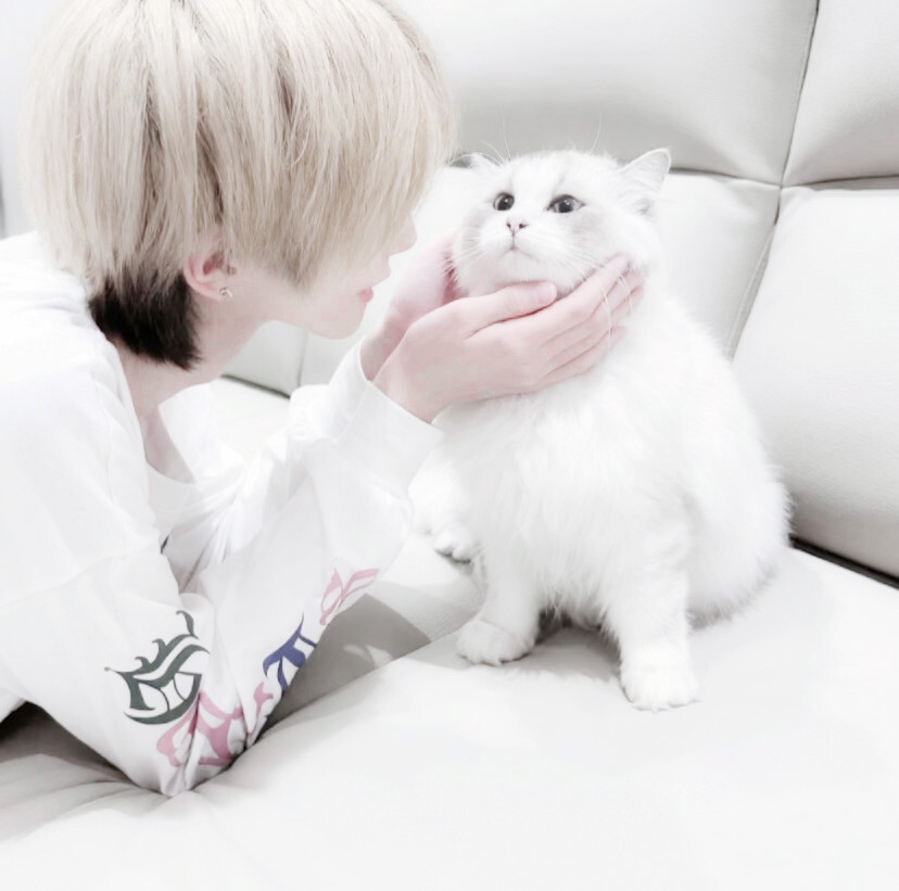  直到分开时 我也没感觉到你的不舍