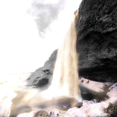 **霧の中で花を探る’하얀 장미