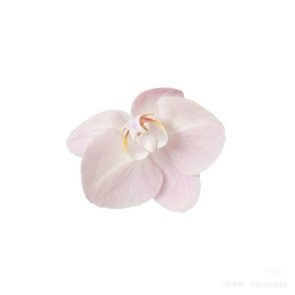 app素材小图标 ♥