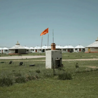 杂