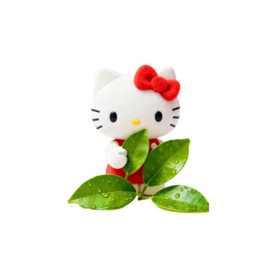 HelloKitty柚子叶头像