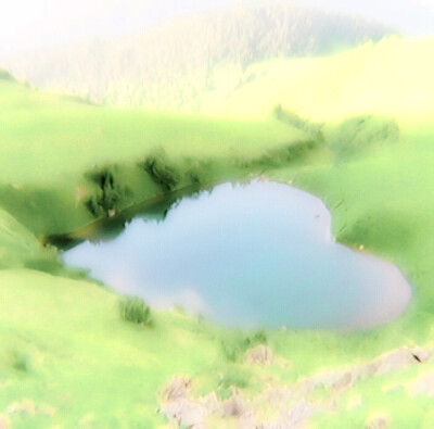 我是行走在江湖喵喵侠，在一个夜黑风高夜晚发现了一名在街游荡的孤独人类，于是决定退隐江湖以后，任务就是让他不再孤独