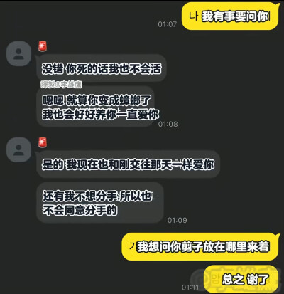 爱你绵绵