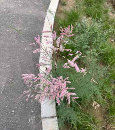 十月 