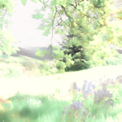 我是行走在江湖喵喵侠，在一个夜黑风高夜晚发现了一名在街游荡的孤独人类，于是决定退隐江湖以后，任务就是让他不再孤独