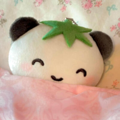 XIAOGOU 
