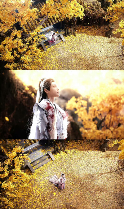 罗云熙水龙吟