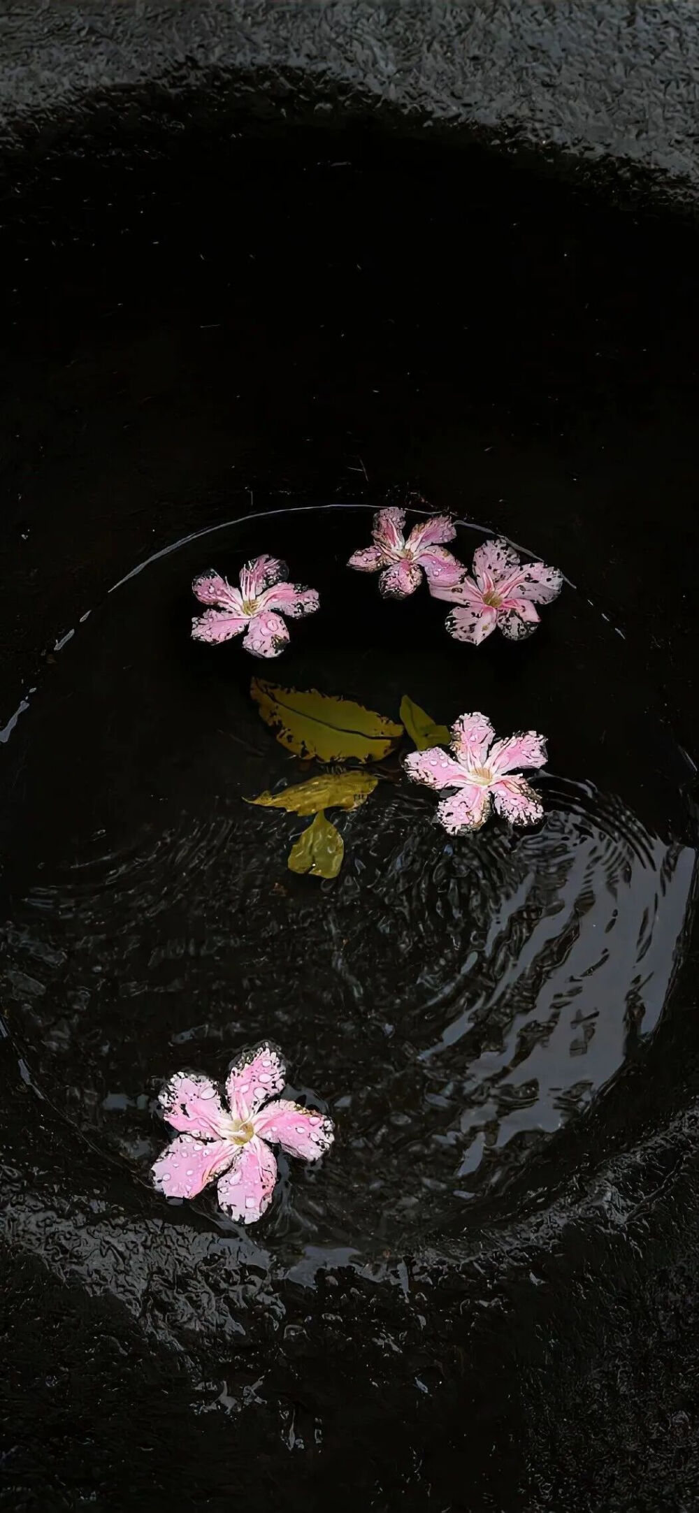 侵删