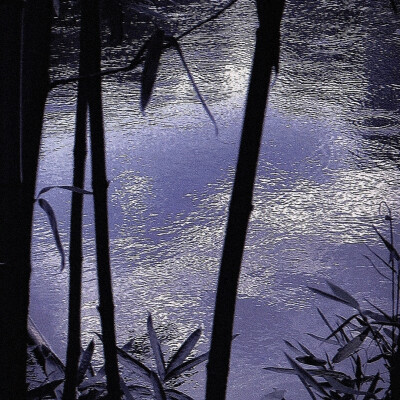王玉雯
