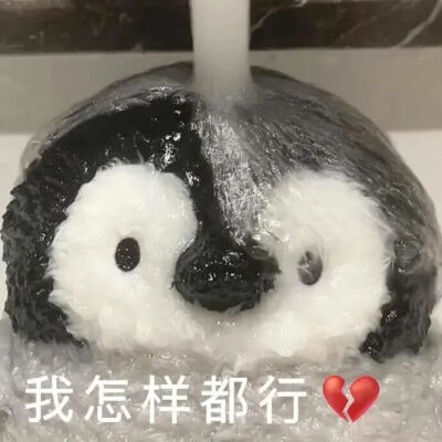 表情包