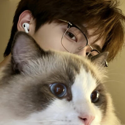 男头