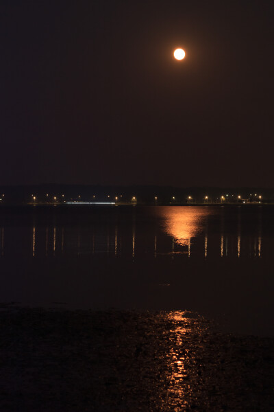 月出松雅湖
湖荇浣波萦岸静，月华灼宇浸灯明。
乙巳年八月十六日酉时