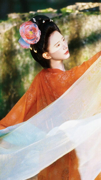 张婉莹
