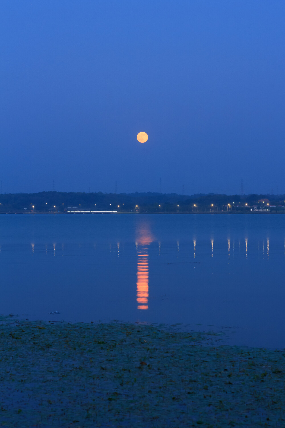 月出松雅湖
湖荇浣波萦岸静，月华灼宇浸灯明。
乙巳年八月十六日酉时