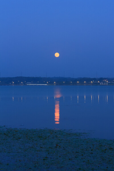 月出松雅湖
湖荇浣波萦岸静，月华灼宇浸灯明。
乙巳年八月十六日酉时