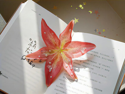 壁纸 背景图 朋友圈