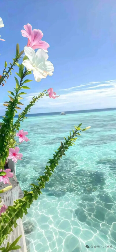 高清壁纸