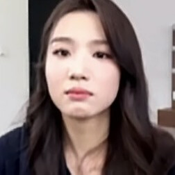 萌猪