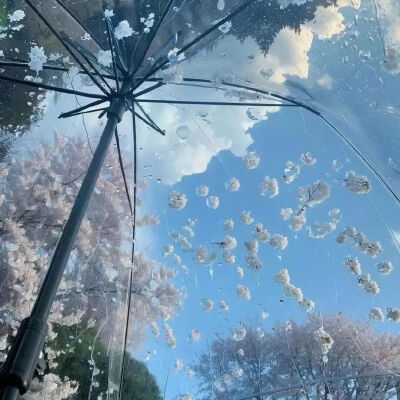 蓝色背景图