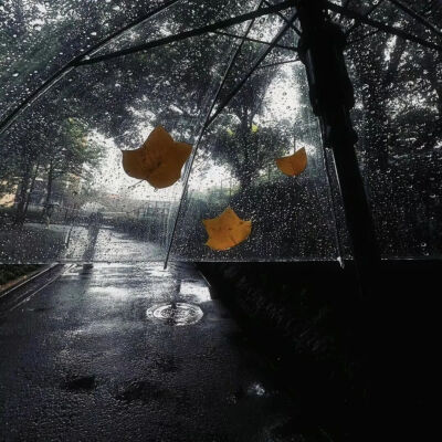 暗色系背景图