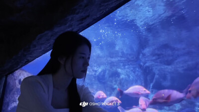 小鱼小鱼，何必快快游？
四面八方不自由