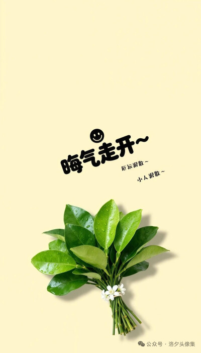 高清壁纸