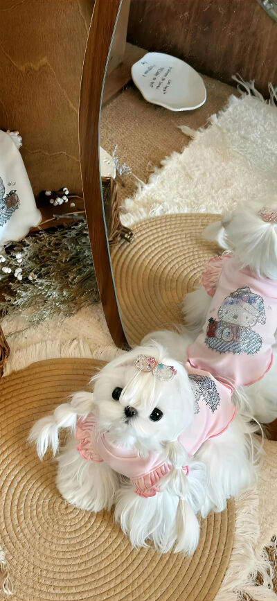 壁纸