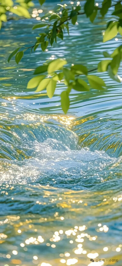 高清壁纸