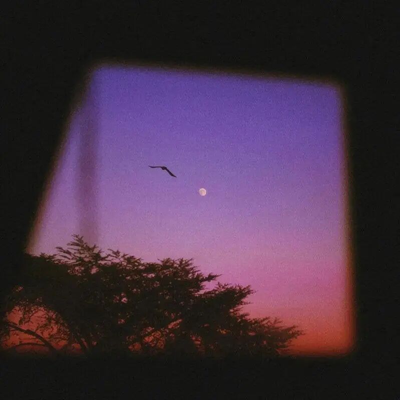 暗色系背景图