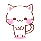 猫猫表情包