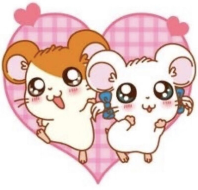 .+:｡(o´ω`)o ﾟ.+:｡ ​​​