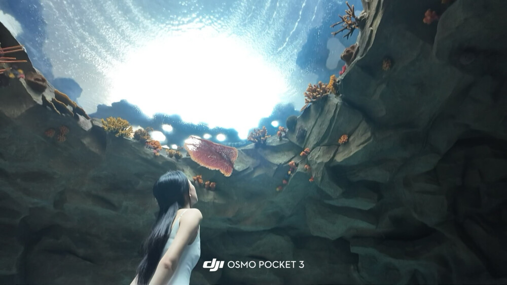 小鱼小鱼，何必快快游？
四面八方不自由