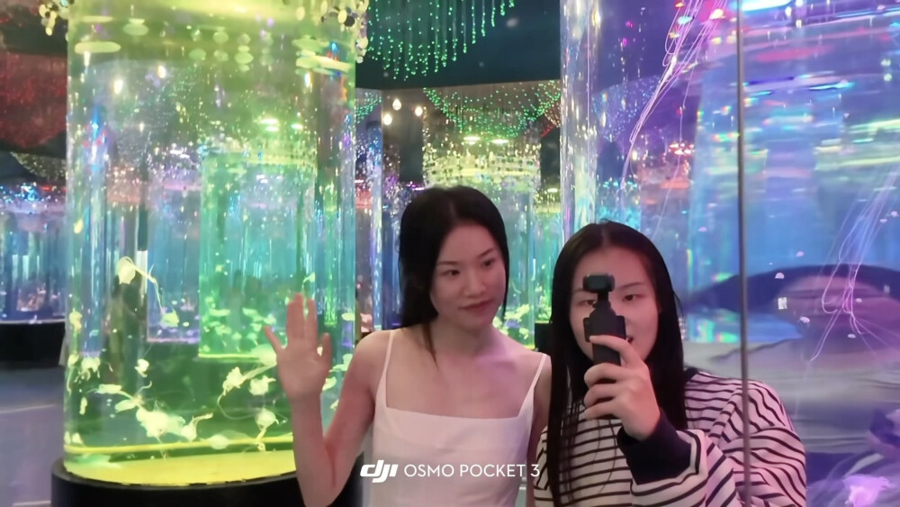 小鱼小鱼，何必快快游？
四面八方不自由