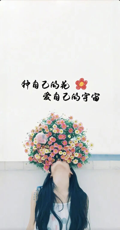 高清壁纸