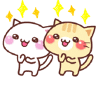 猫猫表情包