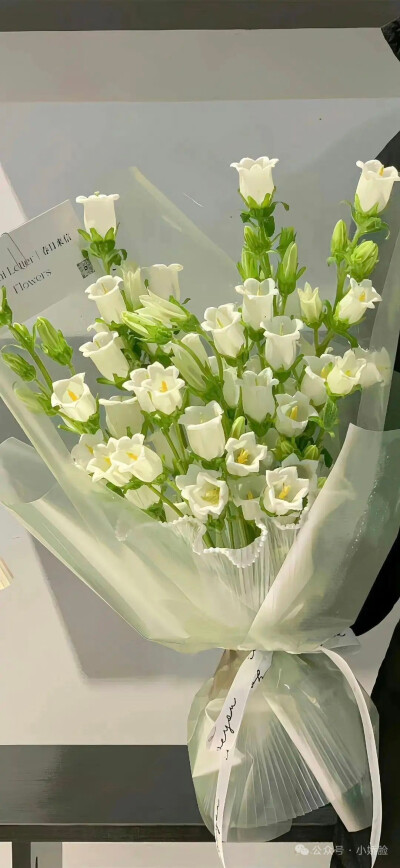 高清壁纸