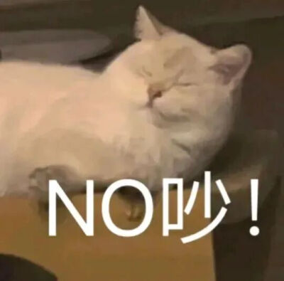 猫猫表情包