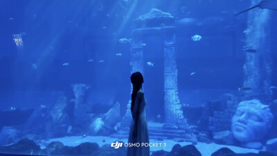 小鱼小鱼，何必快快游？
四面八方不自由