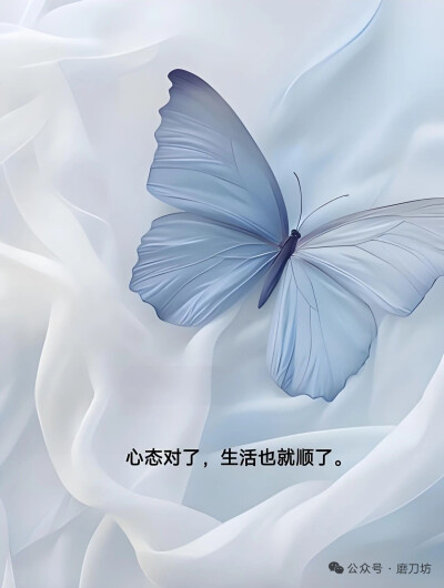 高清壁纸
