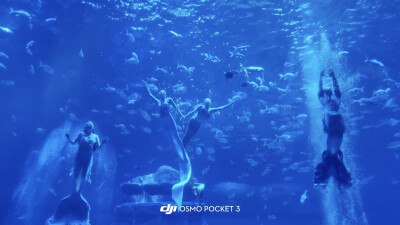 小鱼小鱼，何必快快游？
四面八方不自由