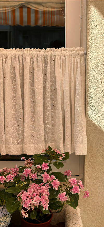 手机壁纸｜聊天背景图