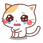 猫猫表情包