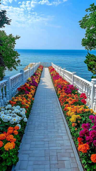 高清壁纸