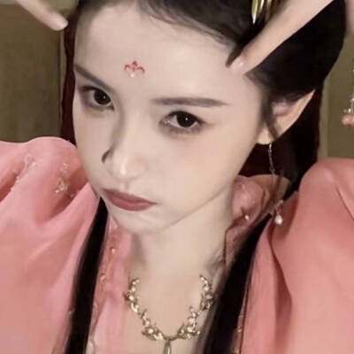 一只宅