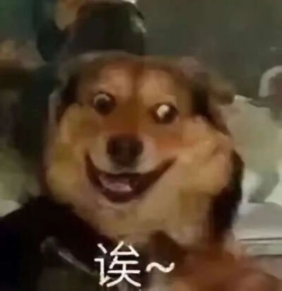 表情包
