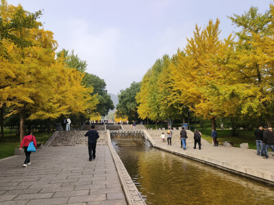 晋祠的秋2025.10.24