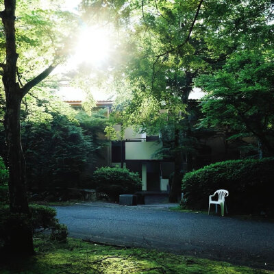 猫猫 风景 壁纸背景