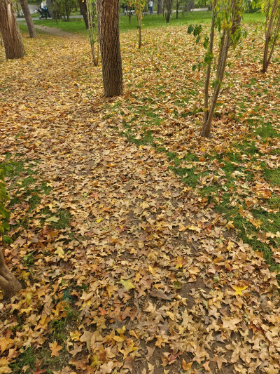 晋祠的秋2025.10.24