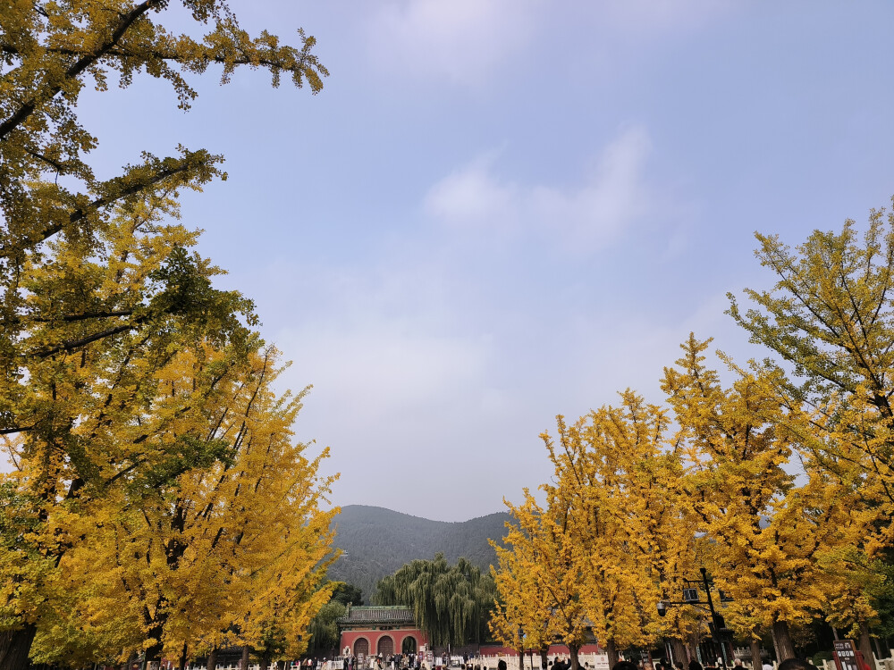 晋祠的秋2025.10.24