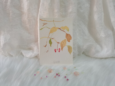 40 金刚藤（绘画 | 水彩 | 果花甘05）
2018.09.27
秋野的叶黄了，脆了。纤细的植须如蛛丝垂下，挽起邀请风的指尖。
坠下一颗红蜘蛛，珠圆玉润，晚风中的轻丝摇动。
金刚藤，又称菝葜、铁菱角。
他们的根茎粗壮，坚…